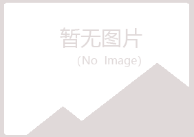 武山县夜山化学有限公司